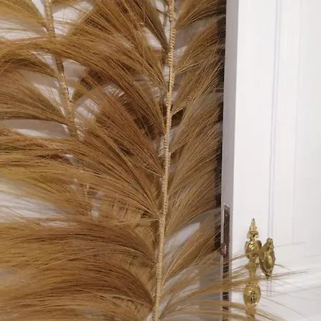 Fernand فندق نامور